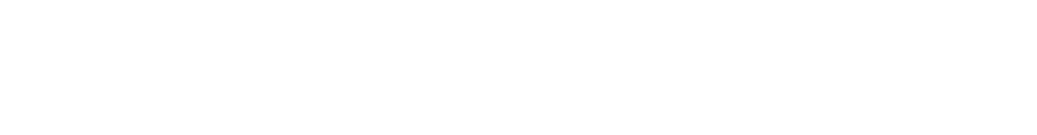 logo ZONTES